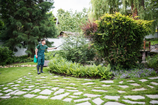 Trusted Sebring, OH Pest Control Experts