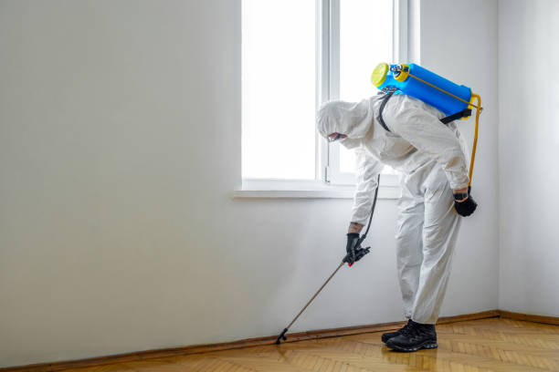 Best Best Pest Control Companies  in Sebring, OH