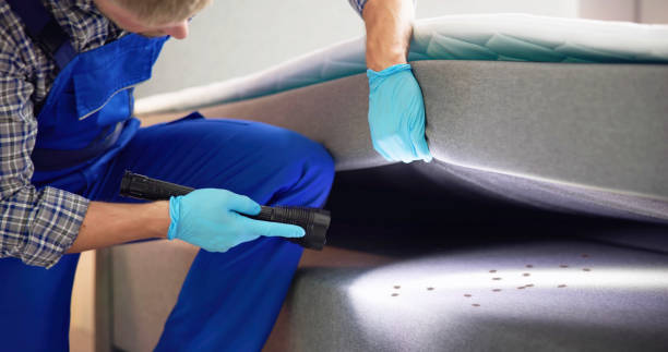 Best Pest Inspection Near Me  in Sebring, OH