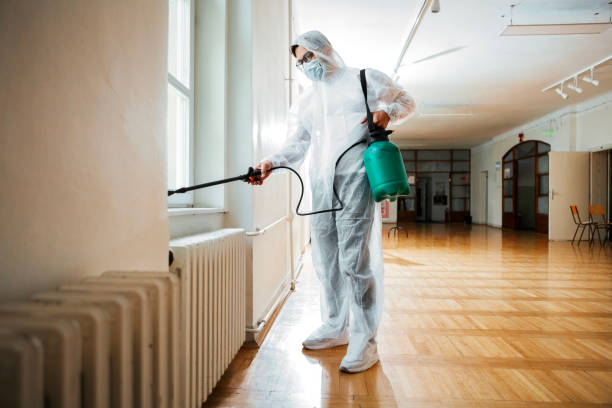 Best Pest Prevention Services  in Sebring, OH